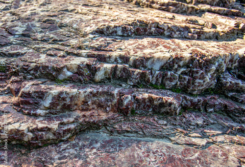 Close-up of textured rock surface with layered formations and colors