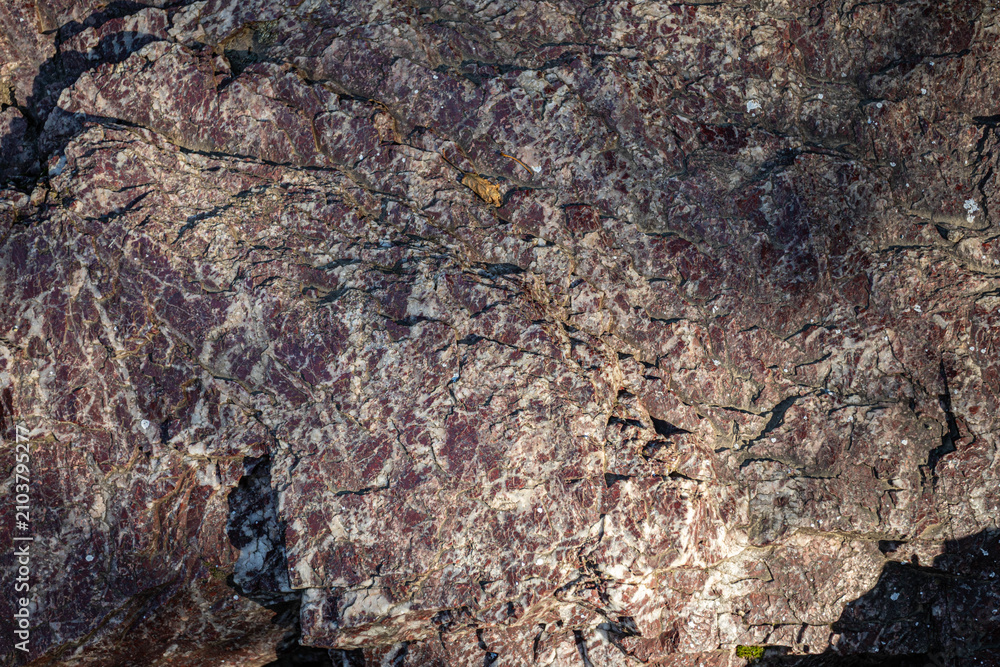 Fototapeta premium Close-up view of textured rock surface with intricate patterns and colors