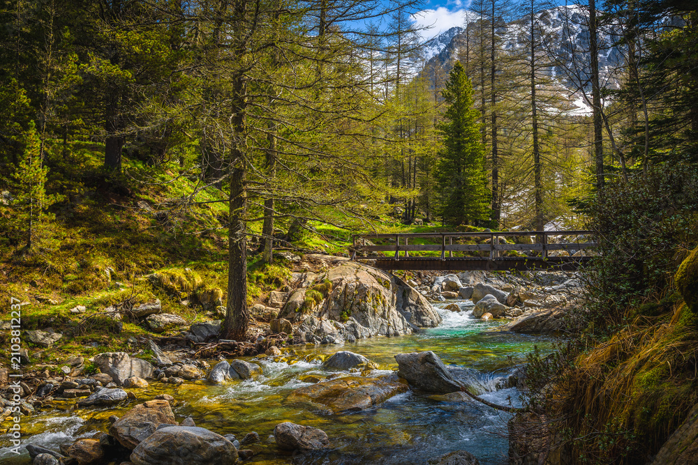 Obraz premium Clean mountain river in Mercantour National Park, Alpes-Maritimes, France