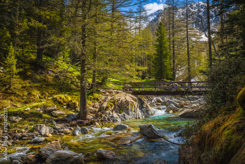 Clean mountain river in Mercantour National Park, Alpes-Maritimes, France