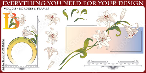 Art Nouveau White Lily Vector Creator Set with Flowers and Frames