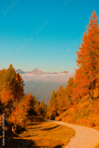 Obraz na płótnie Stunning autumnal colors in the Orobie Alps