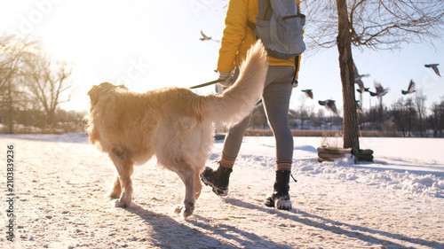 Woman Walking With Golden Retriever Dog In The Park During Winter View From Behind