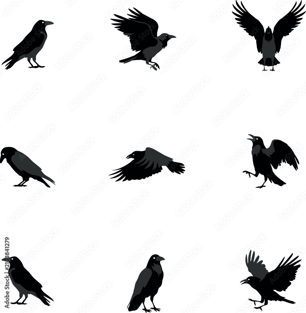 Obraz premium Nine black raven silhouettes in various flying poses