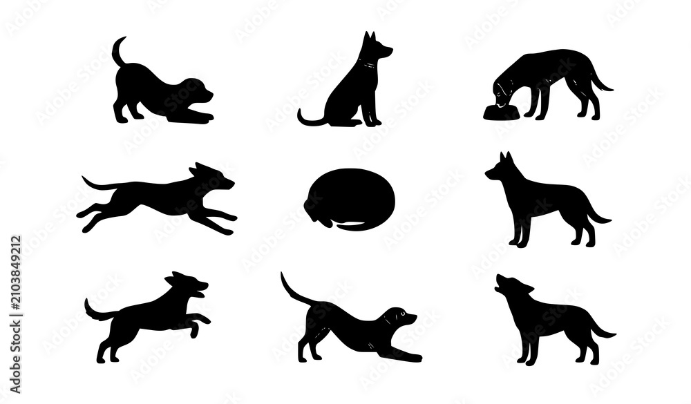 Obraz premium Flat Dog Behavior Vector Set Minimalist Canine Activities and Domestic Pet Action Poses Graphic Icons