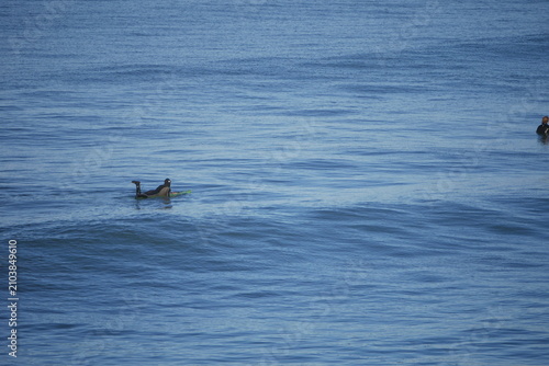 Aotearoa New Zealand, the Ocean in Winter