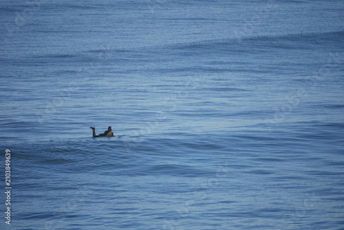 Aotearoa New Zealand, the Ocean in Winter