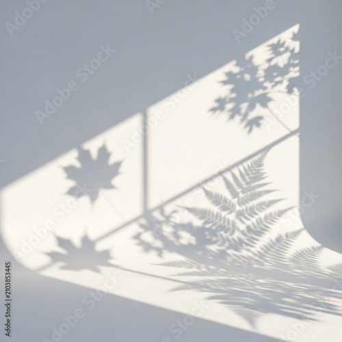 Whispers of Sunlight, Dreams in Shadow