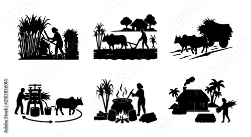 Canvastavla Rural Farming Scenes, Sugarcane Harvest and Processing, Traditional Agriculture,