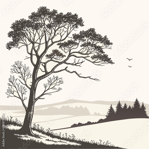 Black and white winter landscape with bare tree and snow covered hills bare branches snow capped mountains