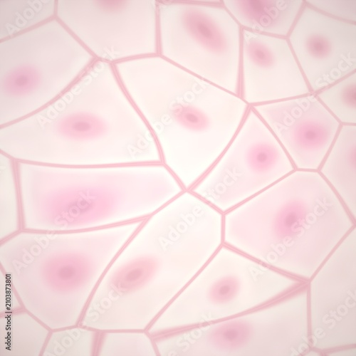 Bild auf Leinwand Microscopic view of pink cells with nuclei