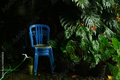 Weathered blue plastic chair standing outdoors near lush green tropical foliage and vibrant red anthurium flowers in a dark moody garden setting captured with soft natural lighting and deep shadows