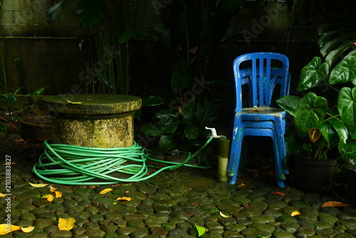 A weathered blue plastic chair sits beside a mossy stone pedestal with a coiled green garden hose in a lush overgrown backyard garden setting featuring soft natural lighting and shadows.
