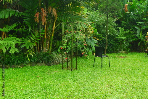 Lush tropical garden featuring a single modern black chair placed neatly on a vibrant green manicured lawn next to a wooden trellis filled with red blooming flowers and plants