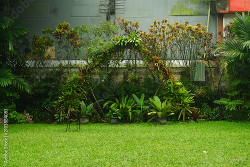 Lush green botanical archway made of dense tropical plants and vibrant foliage stands elegantly over a manicured grass lawn in a quiet garden setting during a soft natural daylight afternoon