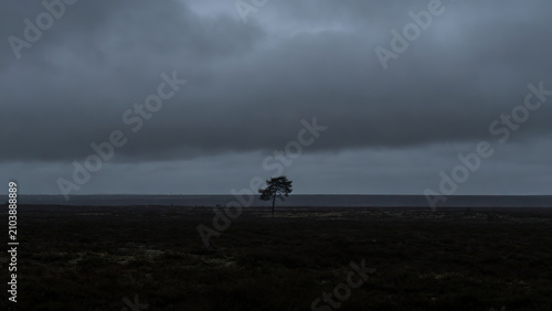 Heavy, overcast sky at dusk with thick gray clouds blocking the sun.
