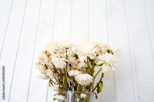 Quadro su tela Wilted white chrysanthemum bouquet in a clear glass vase