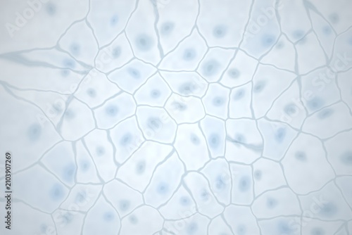 Konstfotografi Abstract cellular structure with nuclei