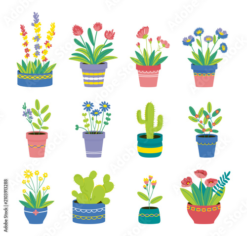 Set of Colorful Potted Houseplants and Flowers in Decorative Pots