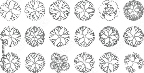 Bild auf Leinwand Botanical Tree Crown Top View CAD Vector Set with Circular Canopy Landscape Symb