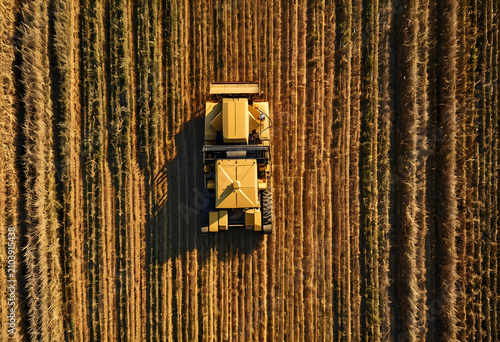Yellow combine harvester wo...