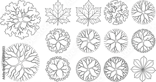 Konstfotografi Tree Top View and Leaf Outline Vector Collection for Landscape CAD and Architect