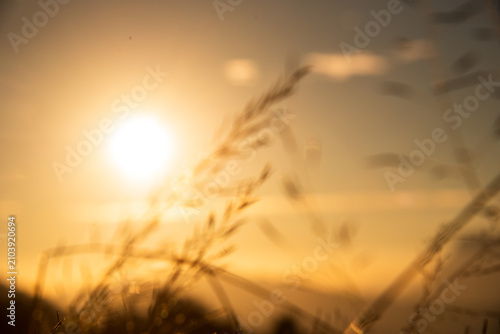 Fotografía Sunset dawn landscape vibrant scenery horizontal
