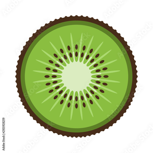 Round kiwi fruit slice with seeds.