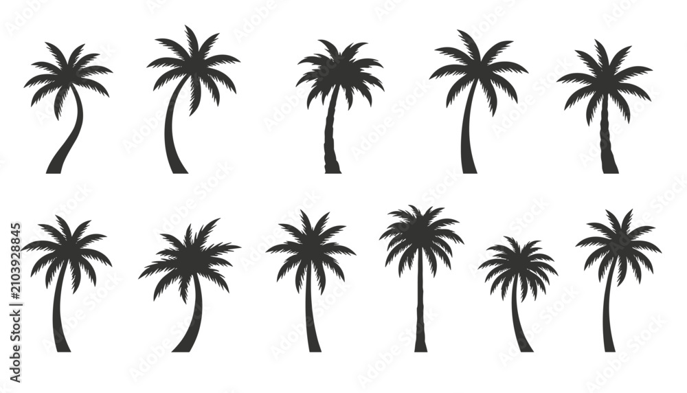 Fototapeta premium Silhouette tropical palm trees in various shapes are arranged in two rows against a clean white background.