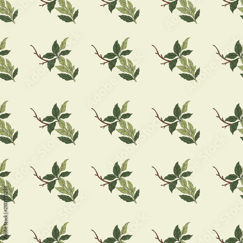 Seamless coffee leaf branch pattern on cream background