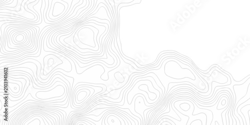 White topography map line geometric grid outline curve counter map wavy design. topography relief discovery area black spiral line space landscape texture background.