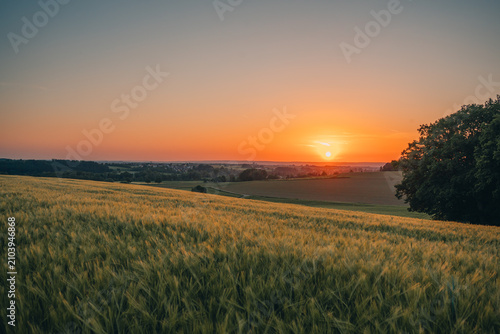 Konstfotografi Sonnenuntergang über der Hügellandschaft Oberschwabens bei Schwendi und Laupheim mit Getreidefeld im goldenen Abendlicht