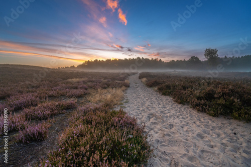 Morgennebel über der Nemitzer Heide