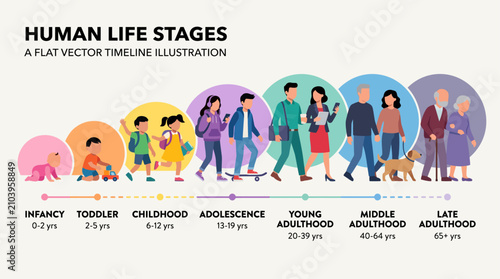 Картината върху платно Flat vector illustration showing the human life stages timeline from infancy to old age