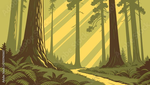 Lush forest clearing with tall trees and sunlight beams forest floor woodland