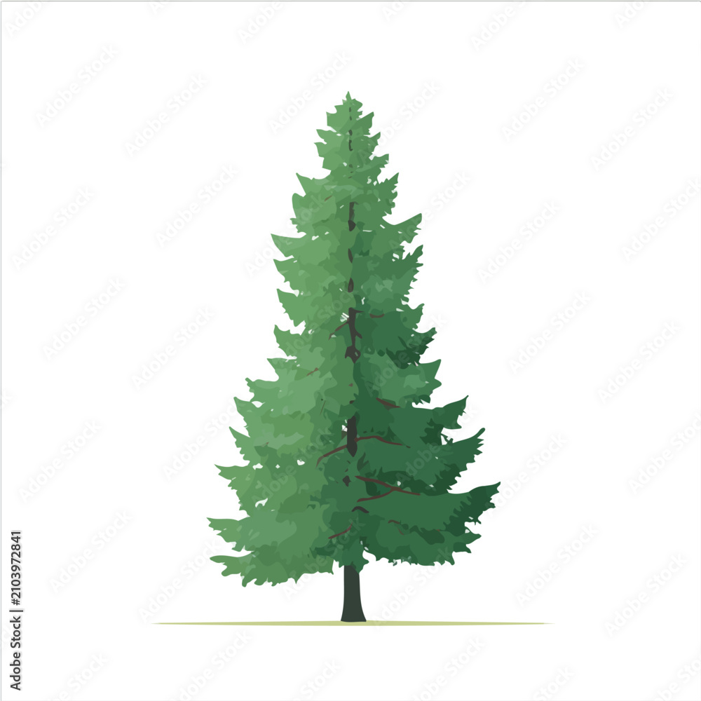 Obraz premium Cedar Tree, clean 2D vector flat illustration in minimal and modern style on a white background.