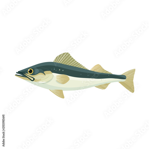 Cuadro en lienzo Clean 2D flat vector depiction of a Haddock, designed in minimalist modern style with white background