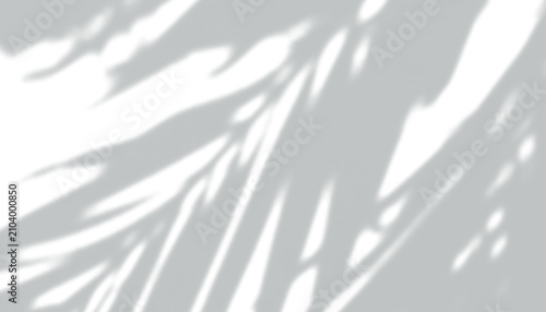 Palm leaf shadow overlay for tropical summer lighting effects.