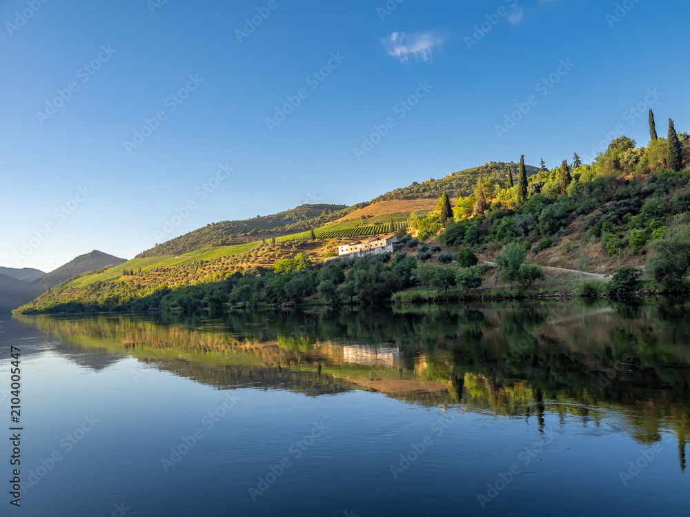 Fototapeta premium Perfect reflection of the terraced vineyards and ruins of ancient quintas on the waters of the Douro river, Pinhao, Portugal