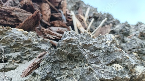 Cuadro en lienzo Weathered Coastal Limestone and Driftwood Texture Formed by Marine Erosion on a
