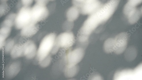Shadow of leaves tree plant overlay on white wall. Sunlight effect shadow on the wall. Minimal blurred backdrop backgrounds. Summer tropical surface background.