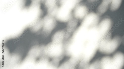 Shadow of leaves tree plant overlay on white wall. Sunlight effect shadow on the wall. Minimal blurred backdrop backgrounds. Summer tropical surface background.