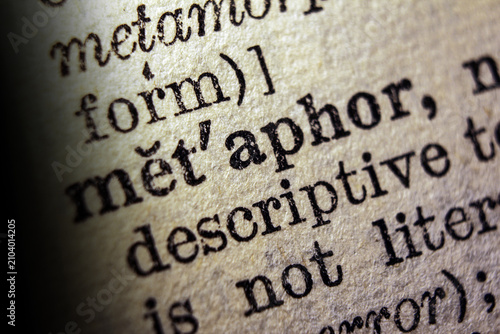 Bild auf Leinwand Word metaphor on dictionary page, macro close up