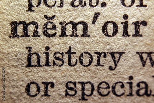 Bild auf Leinwand Word mental on dictionary page, macro close up