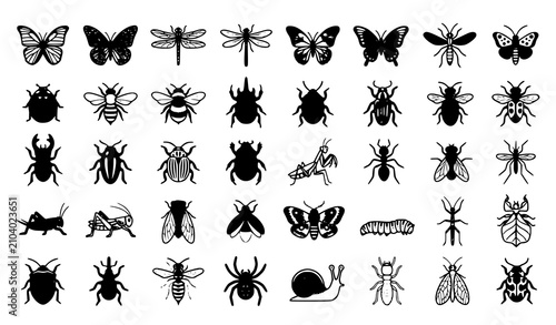 Fotografía Colorful butterflies beetles dragonflies and bug collection vector illustrations