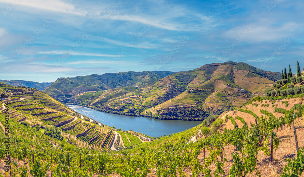 Obraz premium Picture-perfect terraced vineyard lanscapes along the world heritage Douro river valley near the wine town of Pinhao, Portugal
