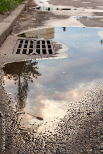 Fotografie Rain puddle on asphalt road reflecting sky and trees near city storm drain grate