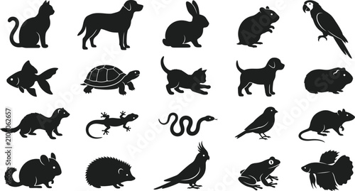 Set of silhouettes of common domestic pets and animals including cat dog rabbit bird fish turtle lizard snake and hamster for veterinary or pet shop graphic design
