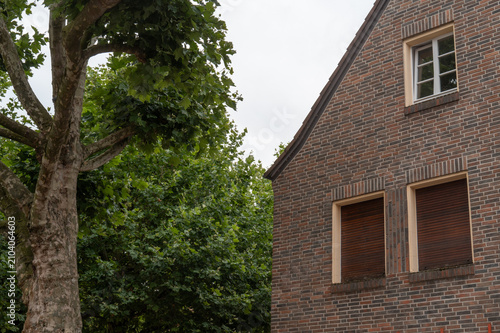 Brick building near a large tree on an overcast day in a quiet neighborhood