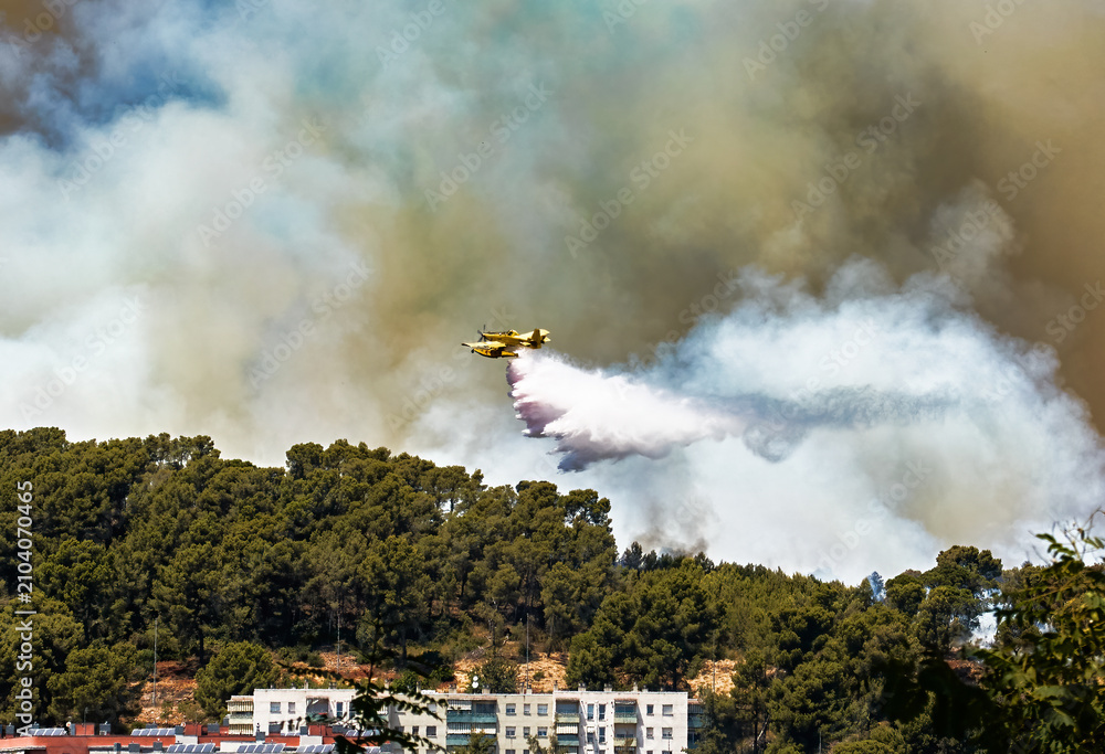 Foto Airplane throwing water against forest wildfire